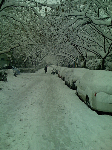 Hangzhou_Snow_2.jpg