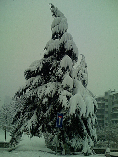 Hangzhou_Snow_1.jpg