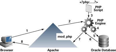 Oracle Apache PHP relation